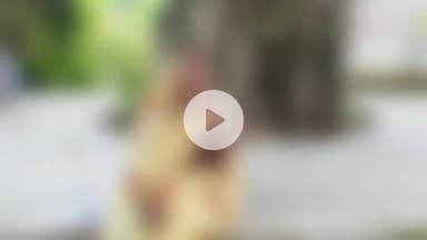 पट्टी: बेसार गांव निवासी महिला को पड़ोसियों ने लाठी-डंडे से पिटाई कर की अश्लील हरकत, पुलिस में की गई शिकायत