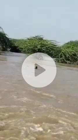 आज सुबह #झांक_नदी में #बाइक सवार को ग्रामीणों के सहयोग से सुरक्षित निकाला