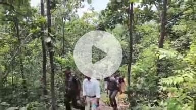 गुमला: उपायुक्त ने पर्यटन विकास की दिशा में आंजन धाम का किया निरीक्षण