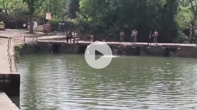 बीना: बड़ा मंदिर मोतीचूर घाट पर फिर दिखा मगरमच्छ, दहशत में लोग, वन विभाग ने नहीं की कार्रवाई
#jansamasya