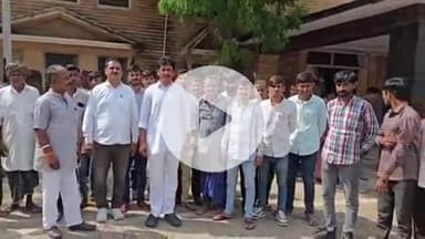 बाड़मेर: बाड़मेर के किसान जंगली सूअरों के आतंक से परेशान, किसानों ने जिला कलेक्टर को ज्ञापन सौंपा