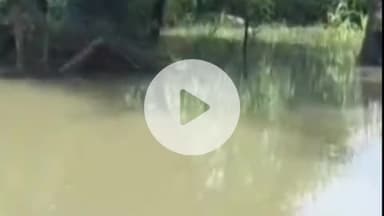 करनैलगंज: घाघरा नदी का जलस्तर घटा, खतरे के निशान से नीचे, फिर भी हजारों लोग बाढ़ से जूझ रहे