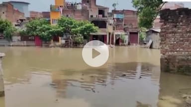 बक्सर: नीचले इलाकों में पानी भरने के बीच डीएम का बयान- गंगा नदी के बढ़ते जलस्तर पर जिला प्रशासन की पैनी नजर