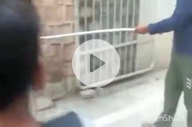 हरिद्वार: बिल्वकेश्वर कॉलोनी के मेन गेट के सिक्योरिटी गार्ड रूम में पहुंचा जहरीला सांप रसैल वाइपर, वन विभाग ने किया रेस्क्यू