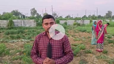 करछना: कटका में जमीन की रजिस्ट्री न करने पर दबंगों ने गरीब किसान की फसल ट्रैक्टर से जोतकर किया नष्ट, पुलिस ने नहीं की कार्रवाई