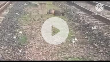खुरई: खेरानाका रेलवे गेट के पास अज्ञात युवक ने मालगाड़ी के सामने कूदकर आत्महत्या की