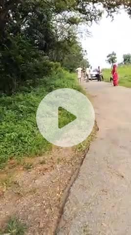 होमगार्ड  पंकज उपाध्याय द्वारा धमकी दिया जा रहा है हमारे पैतृक हिस्सा पेट की जमीन परजुताई के दौरान।