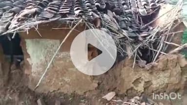 ब्यौहारी: ब्यौहारी के खुटहरा गांव में जंगली हाथियों का तांडव, कई घरों में की तोड़-फोड़