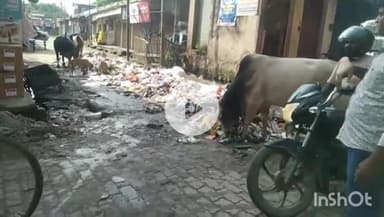 औरैया: गौशाला रोड पर कूड़े के ढेर से बढ़ी लोगों की मुश्किलें, नगरपालिका पर लापरवाही के आरोप #jansamasya