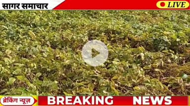 आज 09 सितम्बर 2025 सागर जिले की 10 बड़ी ख़बरें फटाफट। #sagarnews #garhakota 
#सागर #सागरसामाचार #sagar #sagarnewshindi