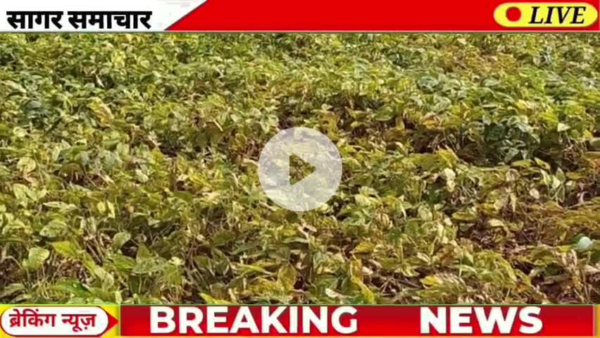 आज 09 सितम्बर 2025 सागर जिले की 10 बड़ी ख़बरें फटाफट। #sagarnews #garhakota 
#सागर #सागरसामाचार #sagar #sagarnewshindi