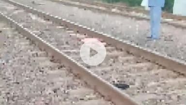 बीना: आगासौद रेलवे स्टेशन के पास ट्रेन से गिरकर अज्ञात यात्री की मौत, स्टेशन मास्टर ने पुलिस को दी सूचना