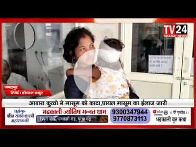 जबलपुर के पाटन क्षेत्र में गुरुवार सुबह 6 साल की मासूम पर स्ट्रीट डॉग्स ने हमला कर गंभीर रूप से घायल