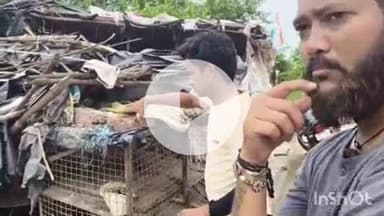 औरैया: अयाना में एसडीएम ने रामलीला मैदान से मीट की दुकान हटवाई, कब्जेदारों को दी चेतावनी, एक को पट्टा दिलाने के बाद हटे