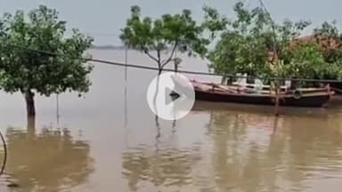 बक्सर: प्रयागराज में गंगा नदी का जलस्तर घटना शुरू, जेई ने कहा- बक्सर में कल से जलस्तर में आएगी कमी