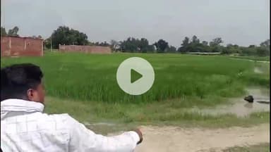 मंझनपुर: डीएम ने तहसील मंझनपुर में आईजीआरएस शिकायतों का भौतिक सत्यापन किया, तीन प्रकरणों का निस्तारण