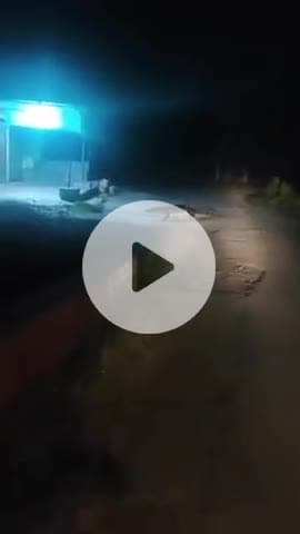 #बुलंदशहर में अटेरना गांव में सड़क पर टहलता मिला मगरमच्छ
मगरमच्छ का वीडियो सोशल मीडिया। पर वायरल
#BulandshahrNews