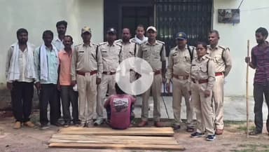 अजयगढ़: धरमपुर परिक्षेत्र के बरियारपुर कुर्मीयान में चिरान लकड़ी ज़ब्त, तस्करों में हड़कंप