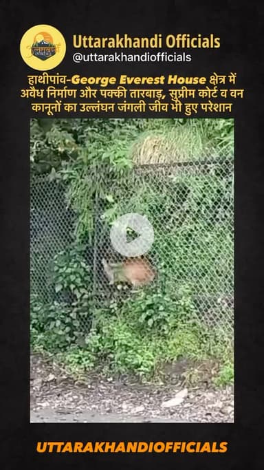 “हाथीपांव–George Everest House क्षेत्र में अवैध निर्माण और पक्की तारबाड़, सुप्रीम कोर्ट व वन कानूनों का उल्लंघन — जंगली जीव भी हुए परेशान”