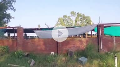 ਅੰਮ੍ਰਿਤਸਰ 2: ਹੜਾਂ ਤੋਂ ਬਾਅਦ ਅਮਰੀਕਨ ਸਵਾਈਨ ਫੀਵਰ ਨਾਲ 200 ਤੋਂ ਵੱਧ ਸੂਰਾਂ ਦੀ ਮੌਤ, ਪਾਲਕ ਨੇ ਮੰਗਿਆ 23 ਲੱਖ ਦਾ ਮੁਆਵਜ਼ਾ