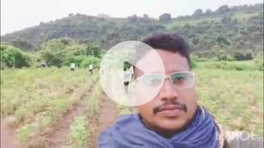 समुद्रपूर: गिरड शेत शिवारातील वाघाला बॅंड वाजवून फटाके फोडून हाकलून लावले जंगलातळ:वनविभागाकडुन विविध उपाययोजना सुरू