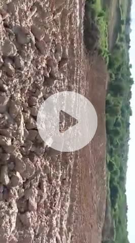 पोरसा: सोशल मीडिया पर वीडियो वायरल