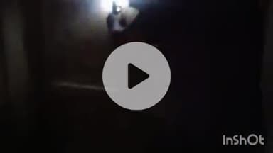 बिधूना: अछल्दा कस्बा के हरीगंज बाजार में व्यापारी के बंद घर में हुई चोरी, पुलिस कर रही है मामले की जांच