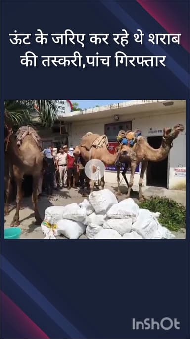 हौज खास: साउथ दिल्ली से एएटीएस ने 5 शराब तस्करों को किया गिरफ्तार, ऊंट के ज़रिए करते थे तस्करी