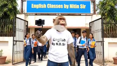 सबसे अच्छे परीक्षा परिणाम के लिए शीघ्र संपर्क करें 
8109180702