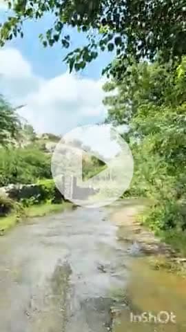 Gram Panchayat Lotiyana ke 
Soniyana gaon ke road ki halat