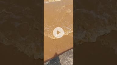 छोटे पुल के ऊपर से बहने लगी नदी viral video