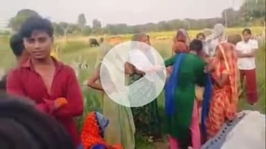 सिराथू: भैरोपुर गांव में मवेशियों को चराने के दौरान अधेड़ व्यक्ति को जहरीले जंतु ने काटा, हो गई मौत