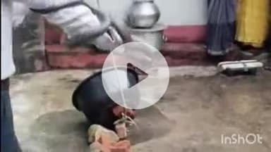 पुष्पराजगढ़: धोबगढ़ में जहरीले सांप का रेस्क्यू किया गया