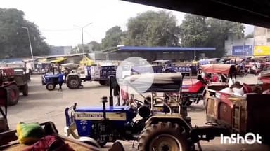 धार: धार कृषि उपज मंडी में गेहूं और सोयाबीन की बंपर आवक रही