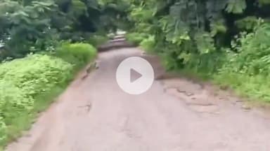 ఎల్లారెడ్డిపేట: రోడ్డు ఇలా ఉంటే ప్రయాణించేది ఎలా..?