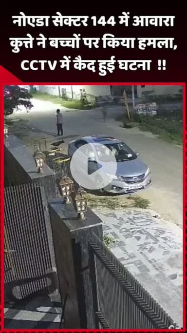 दादरी: नोएडा सेक्टर 144 में आवारा कुत्ते ने बच्चों पर किया हमला, घटना CCTV में कैद हुई