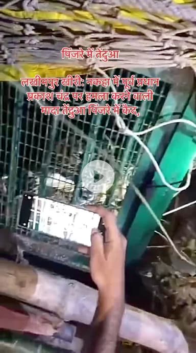 #पिंजरे में #तेंदुआ..! 

लखीमपुर खीरी: नकहा में पूर्व प्रधान प्रकाश चंद्र