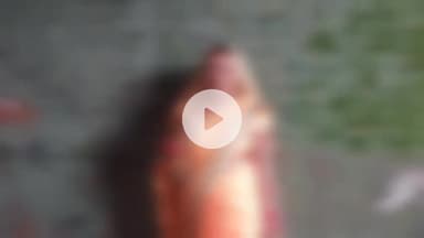 पूरनपुर: कोतवाली क्षेत्र के गांव में महिला प्रधान के साथ छेड़छाड़, विरोध करने पर प्रधान के पति की पिटाई