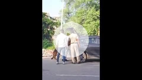गुरुग्राम सोहना में सोहना पलवल रोड पर पुलिस ने डॉग्स स्क्वाड के साथ चेकिंग अभियान चलाया