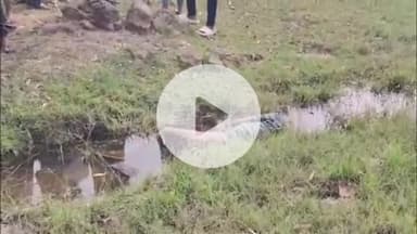 डोमचांच: नवलशाही के मसमोहना कब्रिस्तान के पास नाले में मिला एक अधेड़ का अज्ञात शव