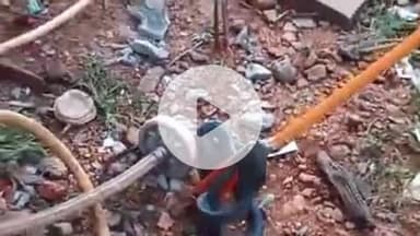 झांसी: भोजला गांव में प्रधान के घर में घुसा कोबरा, पकड़ने गई वन विभाग की टीम पर फन फुलाकर की तेज फुफकार, वीडियो हुआ वायरल