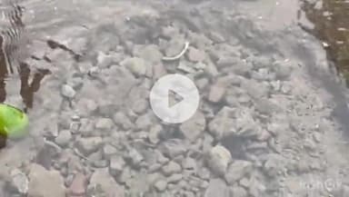 नवादा: नवादा के विजय बाजार के पास पानी की बर्बादी, नल जल योजना की पानी, जनता को समस्या
#jansamasya