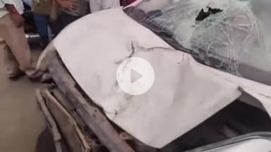 सागर नगर: मोतीनगर में शराबी कार चालक ने भैंस और स्कूटी सवारों को मारी टक्कर, भैंस की मौत