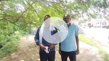 झांसी: झांसी के कटेरा कस्बे में सांप के डसने से महिला की मौत, खेत पर चारा काटने गई थी, जहरीले सांप ने हाथ में काटा