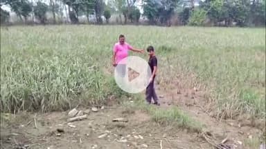 ਧਾਰ ਕਲਾਂ: ਜ਼ਿਲਾ ਪਠਾਨਕੋਟ ਦੇ ਅਰਧ ਪਹਾੜੀ ਖੇਤਰ ਧਾਰ ਵਿਖੇ ਹੜਾ ਦੀ ਮਾਰ ਹੇਠ ਆਏ ਪੋਲਟਰੀ ਫਾਰਮ ਦੇ ਮਾਲਿਕ ਪ੍ਰਸ਼ਾਸਨ ਤੋਂ ਮਦਦ ਦੀ ਲਗਾਈ ਗੁਹਾਰ