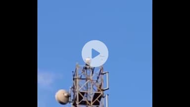 ठाकुरद्वारा: ठाकुरद्वारा क्षेत्र के मौहल्ला कुरेशियान में युवक ने मोबाइल टावर पर चढ़कर किया हाईवोल्टेज ड्रामा