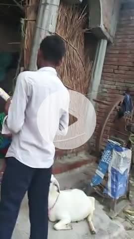 Rahul ji#ne aajesh @ji ko interview #le raha @tha #public news@