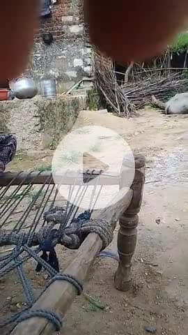 गांव टाटा किया तहसील लसाडिया जिला सलूंबर उदयपुर हमें गाड़ी की सुविधा जल्दी से जल्दी उपलब्ध करवाई