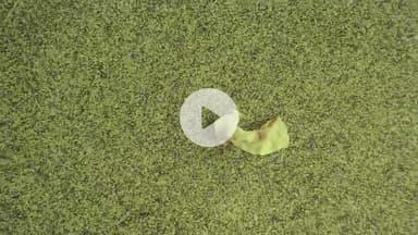 खंडवा नगर: इलाज की जगह संक्रमण! ज़िला अस्पताल में गंदगी का साम्राज्य