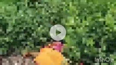 नवादा: नवादा के रेलवे स्टेशन से आगे बंदे भारत ट्रेन से कटने से एक महिला की मौत, पहचान नहीं हो पाई